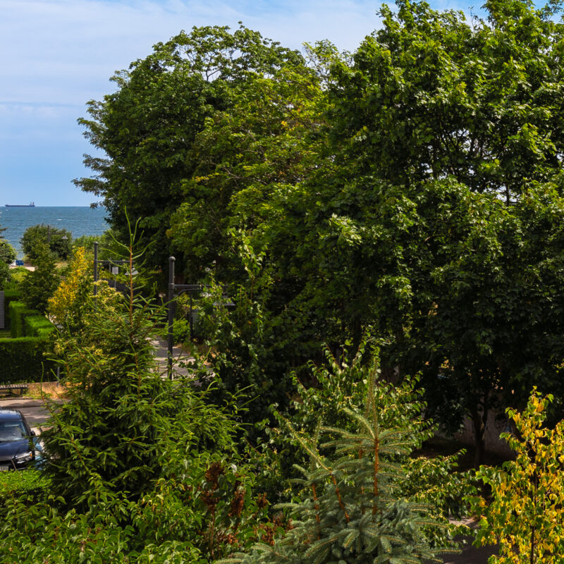 Sopot / Parkowa (17)