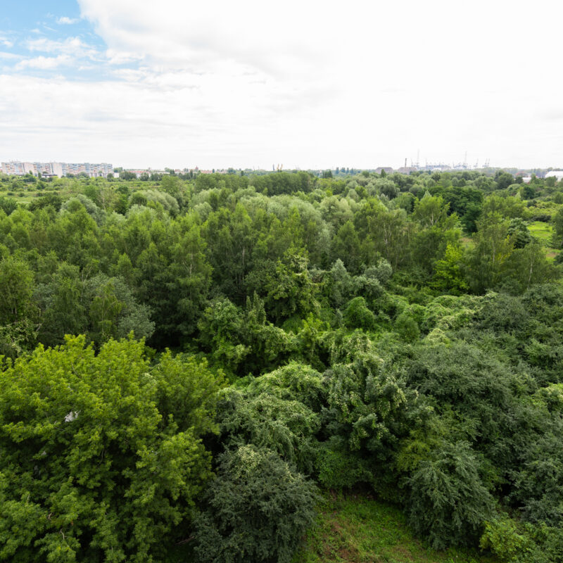 Seaside / Starowiejska 67A/44 (4)